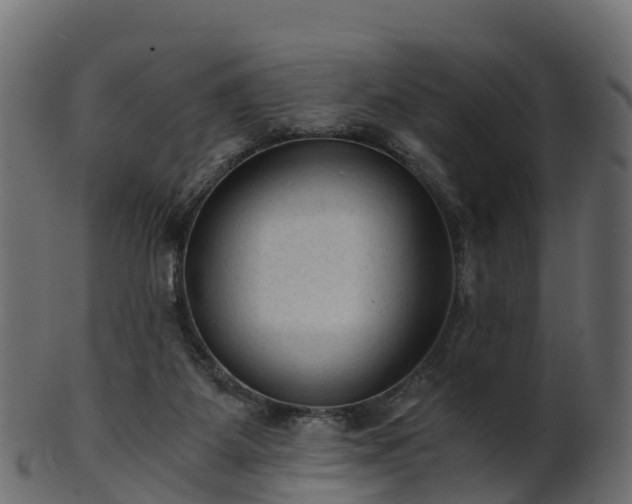X0000101110115200807031749