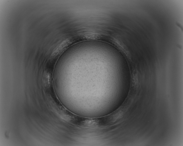 X0000101110117200807031749