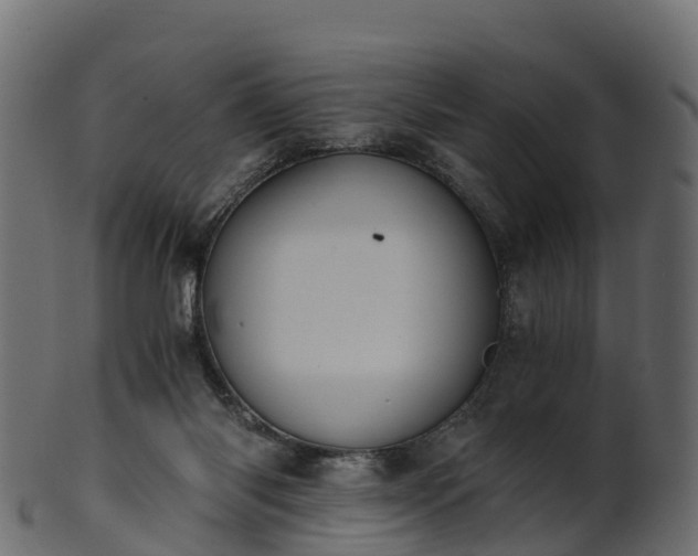 X0000101110118200807031749