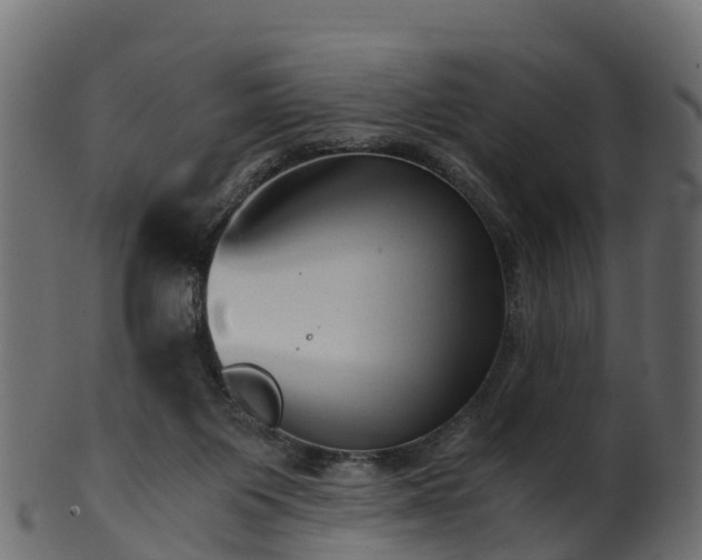 X0000101110119200807031749