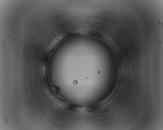 X0000101110120200807031749