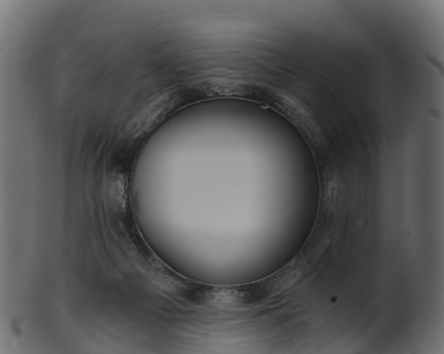 X0000101110121200807031749