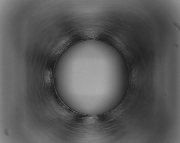 X0000101110122200807031749
