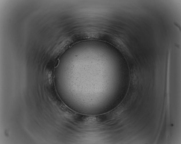 X0000101110123200807031749