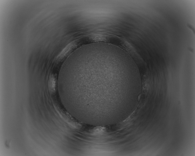 X0000101110124200807031749