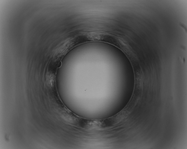 X0000101110125200807031749
