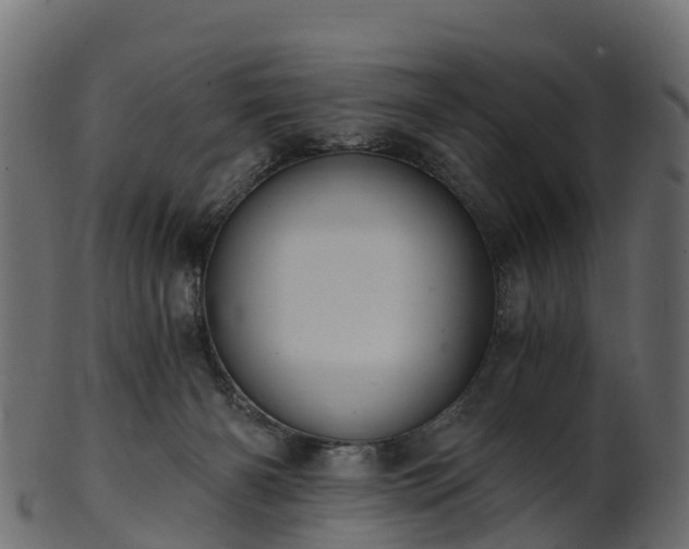 X0000101110126200807031749