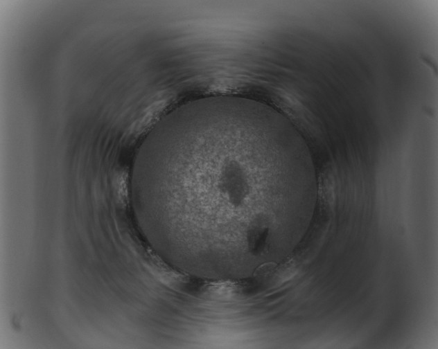 X0000101110127200807031749