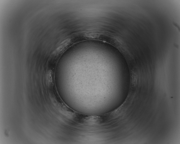X0000101110128200807031749