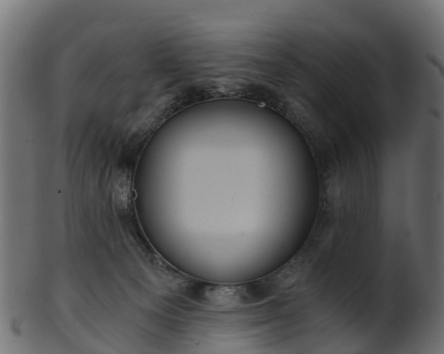 X0000101110129200807031749