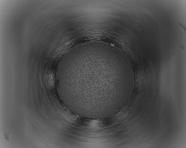 X0000101110130200807031749