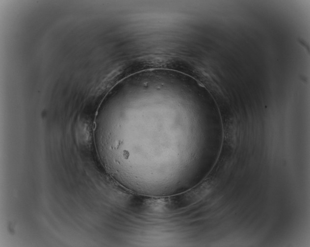 X0000101110131200807031749