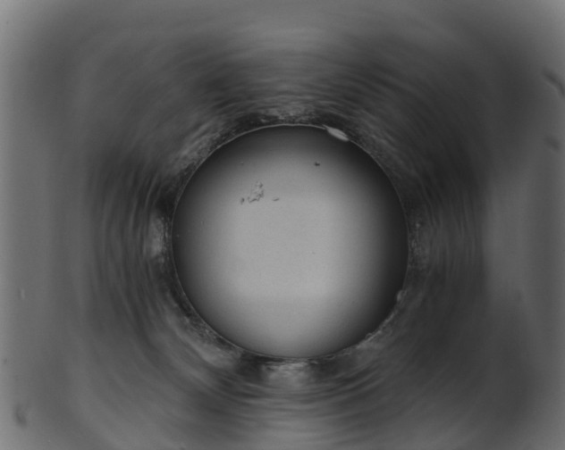 X0000101110132200807031749