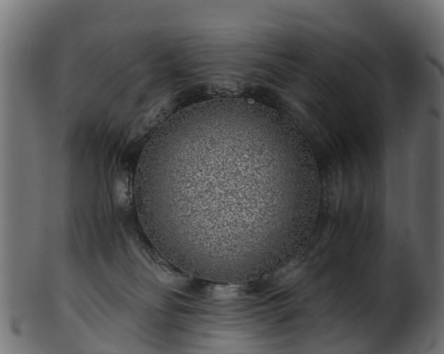 X0000101110134200807031749