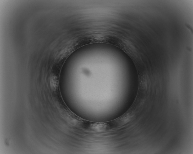 X0000101110135200807031749