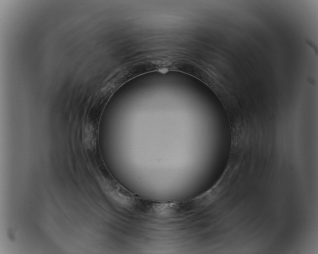 X0000101110136200807031749