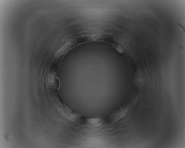 X0000101110139200807031749