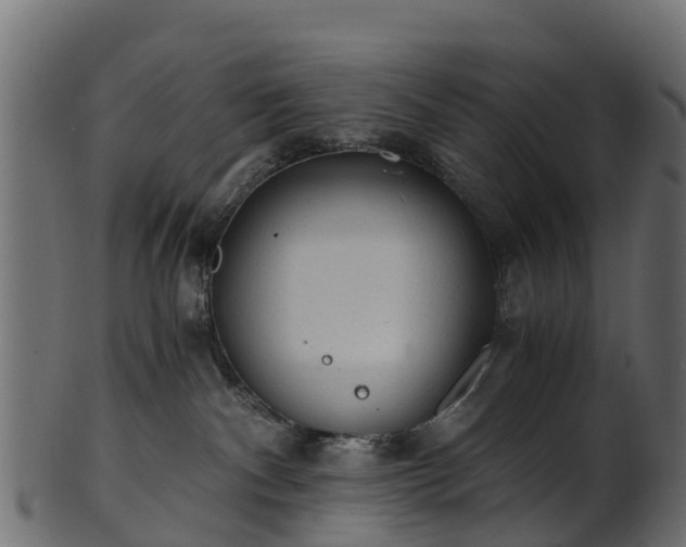 X0000101110140200807031749