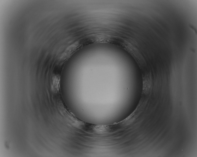 X0000101110142200807031749
