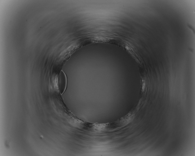X0000101110143200807031749