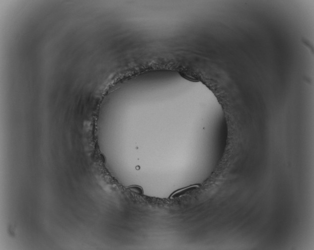 X0000101110144200807031749