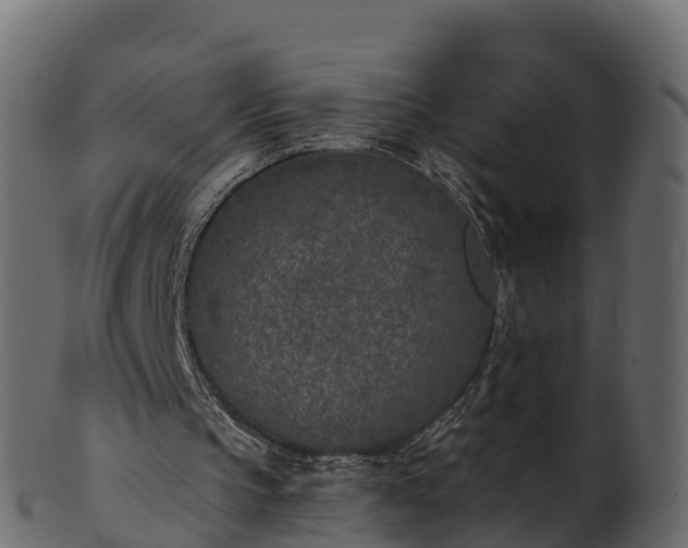 X0000101110145200807031748