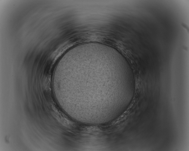 X0000101110146200807031748