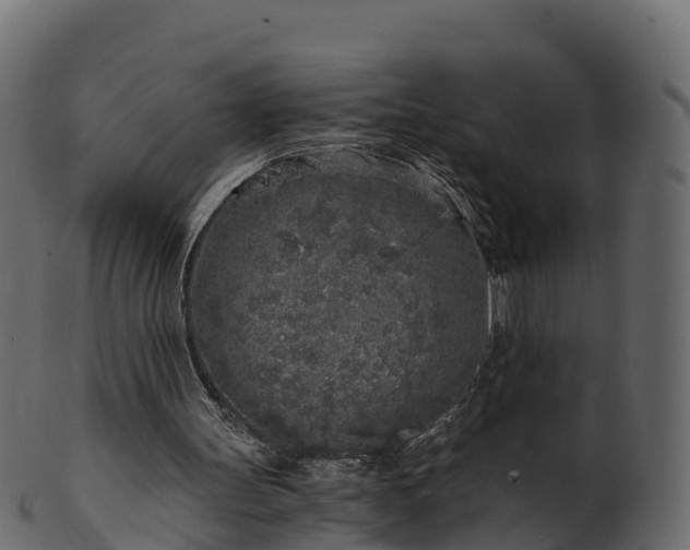 X0000101110147200807031748