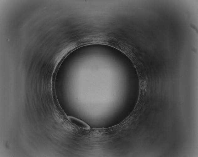X0000101110148200807031748