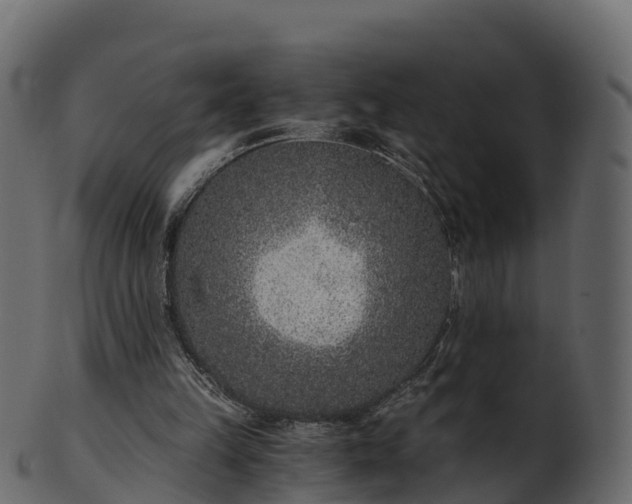 X0000101110149200807031748