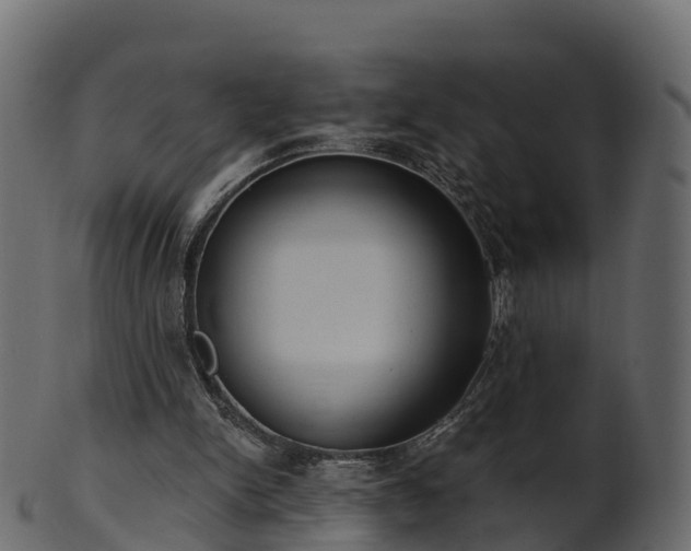 X0000101110150200807031748