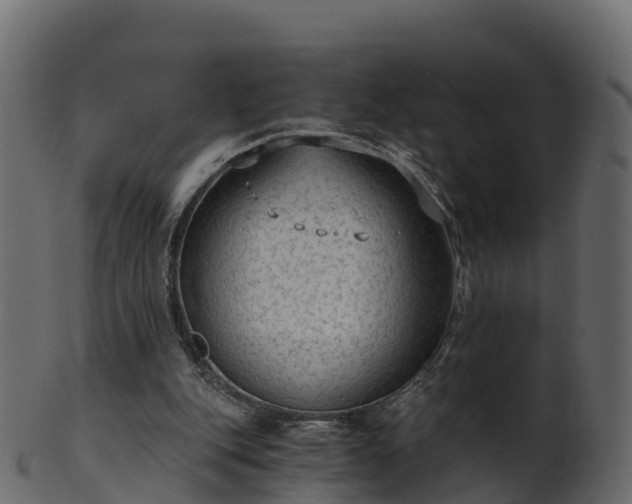 X0000101110151200807031748