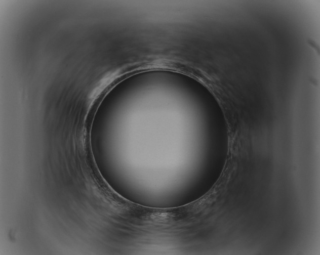 X0000101110152200807031748