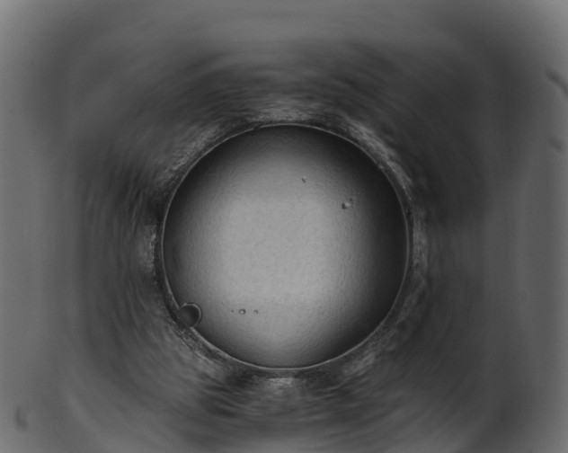 X0000101110153200807031748