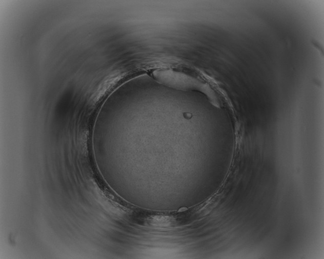 X0000101110154200807031748