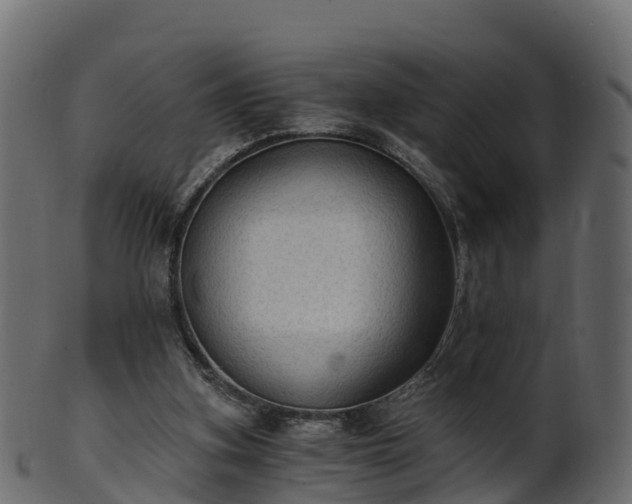X0000101110155200807031748