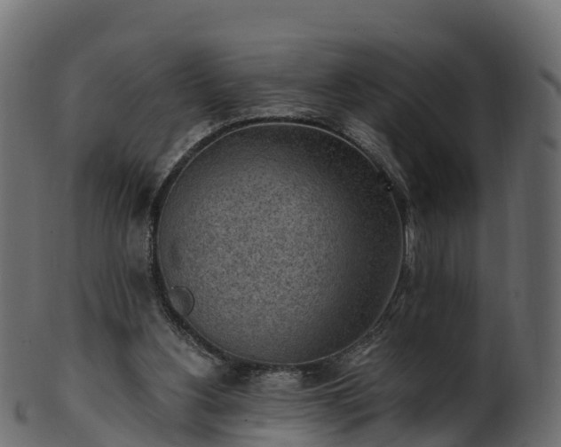 X0000101110156200807031748