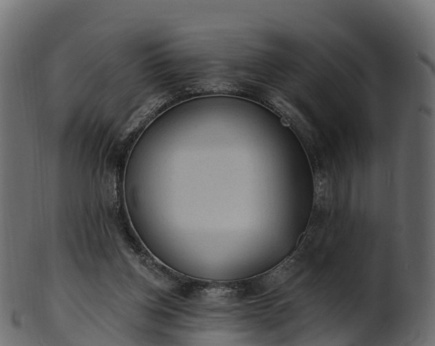 X0000101110158200807031748