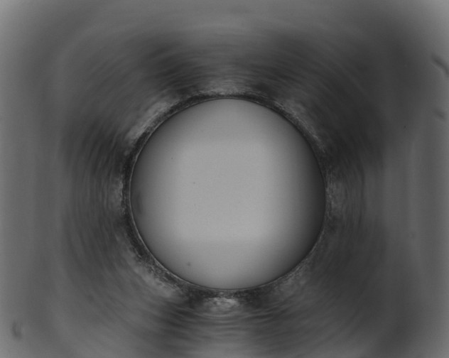 X0000101110159200807031748