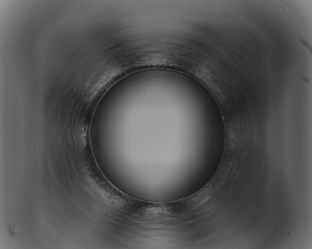 X0000101110160200807031748