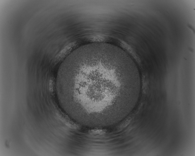 X0000101110161200807031748