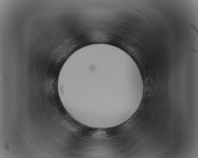 X0000101110162200807031748