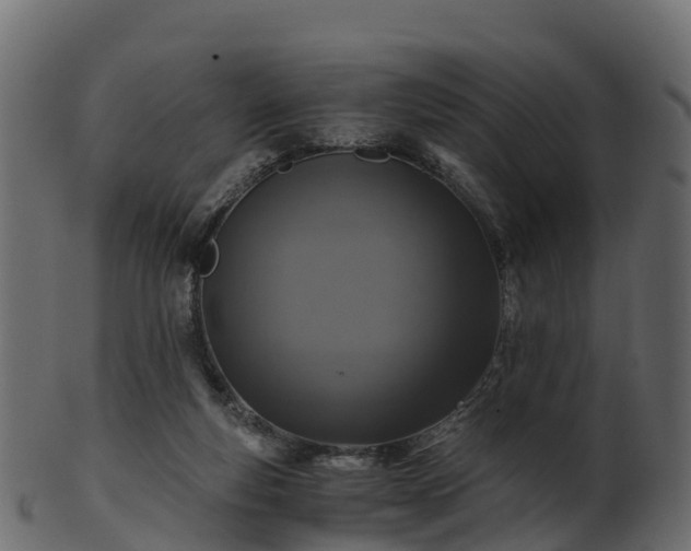 X0000101110163200807031748