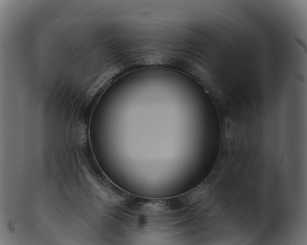 X0000101110164200807031748