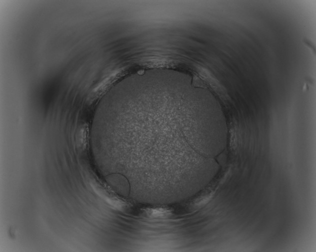 X0000101110165200807031748