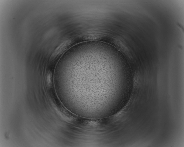 X0000101110166200807031748