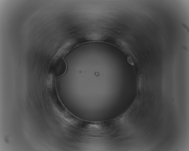 X0000101110167200807031748