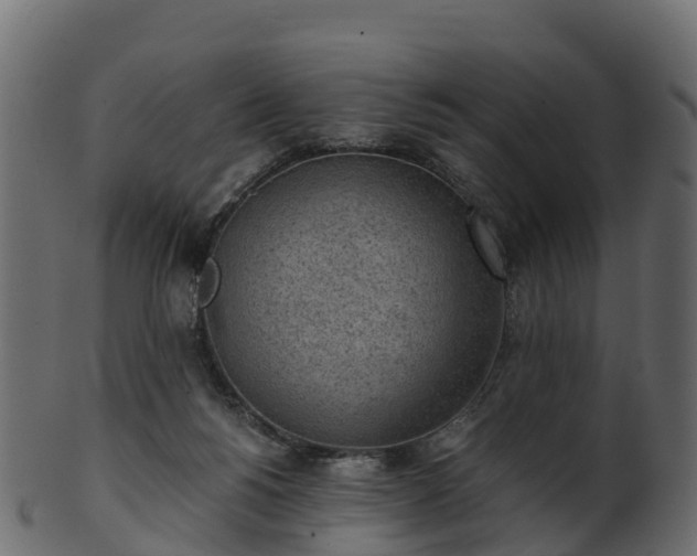 X0000101110168200807031748