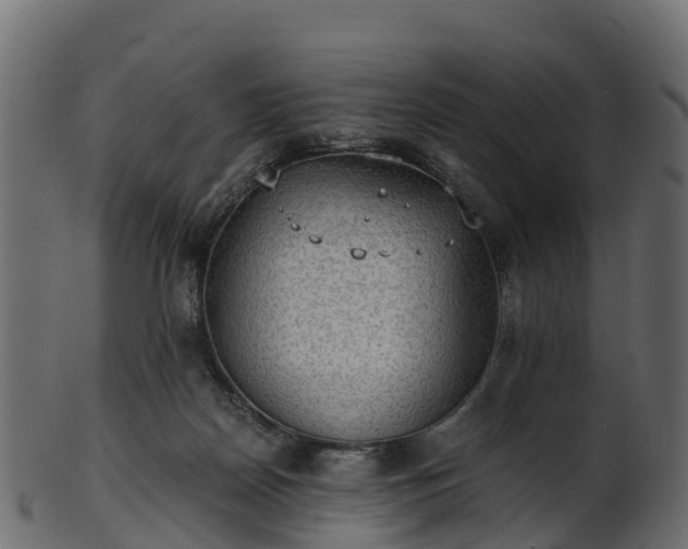 X0000101110170200807031748