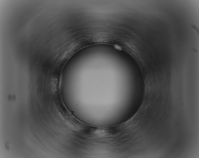 X0000101110171200807031748